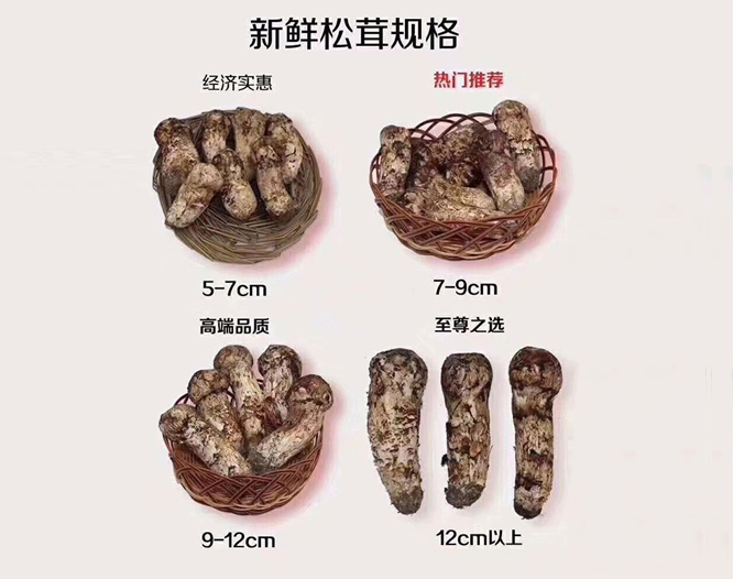汤臣酱酒 - 贵州汤臣酒业有限责任公司 -  